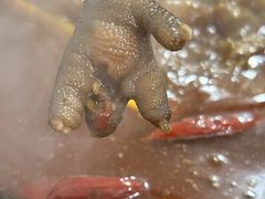 -石灰市毛记烧鸡公(解放碑店)