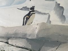 -上海海洋水族馆