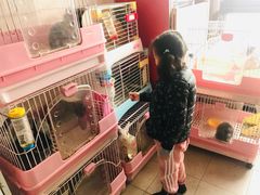 -藦茜花园宠物主题亲子互动体验馆(国顺东路店)