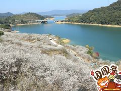 -广州市流溪河国家森林公园