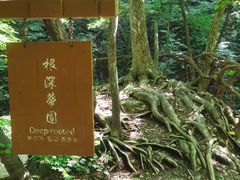 -本溪汤沟绿石谷森林公园