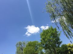 -武清南湖绿博园