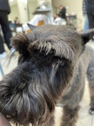 -Hello Lady发型设计