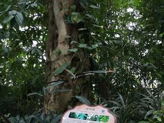-南山植物园