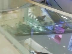 -金鹰国际购物中心(淮安店)