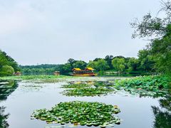 -承德避暑山庄景区