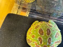 -大悦城(沈阳中街店)