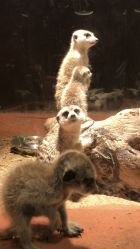 -酷嗒动物文化乐园(cutezoo西溪乐天城店)