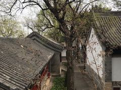 -鹫峰国家森林公园