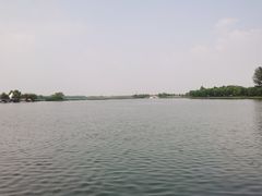 -白洋淀景区
