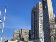 -筋饼豆腐脑一绝