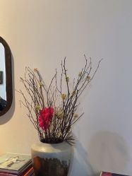 点击看大图 -凤绫儿亲子儿童摄影馆(天津店)