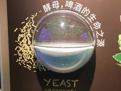 -百威中国啤酒博物馆