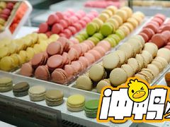 -Pierre Marcolini(德基广场店)