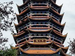 -铁山坪森林公园