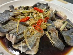 -煲来饱去冷水鱼