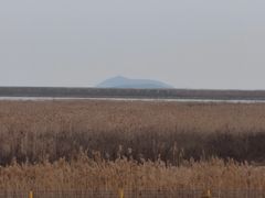 -金山嘴渔村