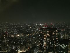 -东京都厅舍