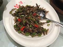 -翠清酒家(万丰路店)
