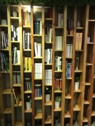 -V-STAR威斯达•高级私人定制