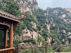 -大岭沟猕猴桃谷风景区