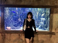 -华夏文旅海洋公园