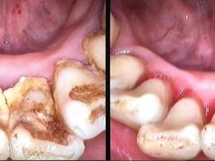 -上海康怡口腔门诊部Alpha Dental