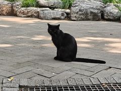 -宣武艺园