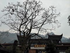 -青城山