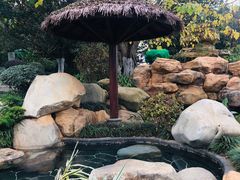 -七彩云南古滇温泉山庄