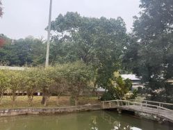 -爱帝宫月子中心(罗湖别墅院)