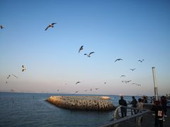 -东港音乐喷泉广场