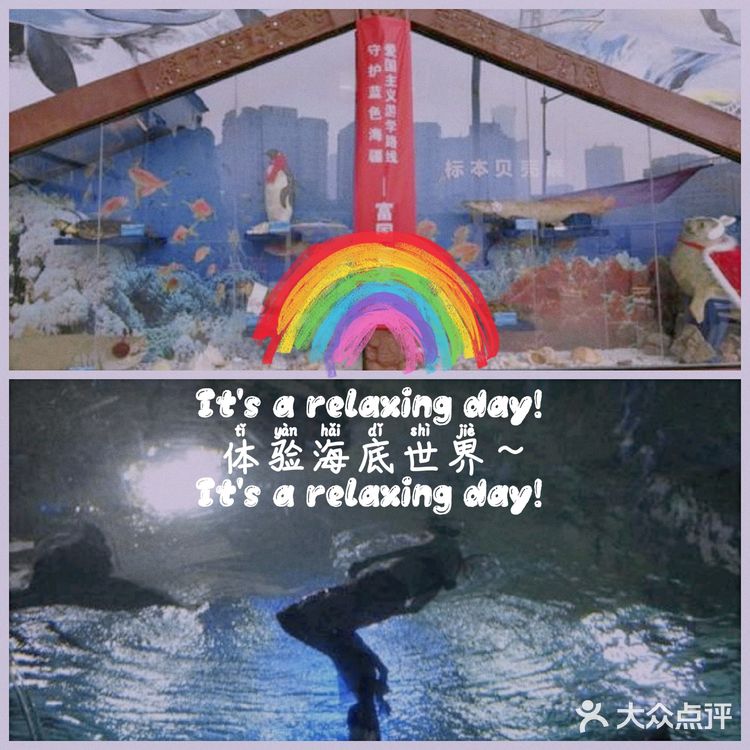 小众运动~体验海底世界💦