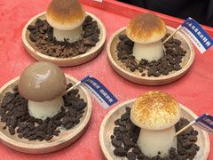 -大理董·董家小厨野生菌火锅(古城旗舰店)