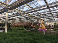 -南和农业嘉年华