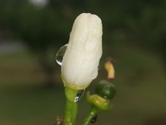 -盘龙城遗址博物院