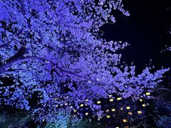 -新高轮格兰王子大酒店