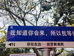 -磁器口古镇