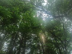 -白塘生态植物园