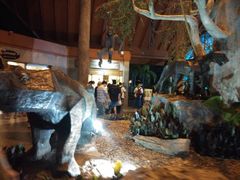 -清迈夜间动物园