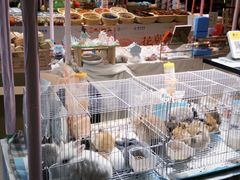 -江南环球港