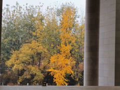 -肯德基(昆山千灯店)