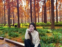 -黄海国家森林公园