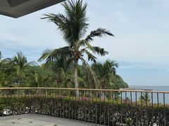 -日落吧·海景咖啡厅·餐酒吧·鸡尾酒·下午茶·乐队表演·浪漫夕阳·三亚文华东方酒店