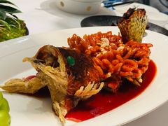 松鼠桂鱼-松鹤楼·非遗·苏帮菜(融科店)