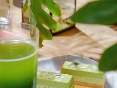 -柴务处·柴犬主题狗咖