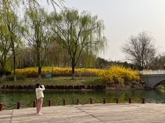 -河北省园博园