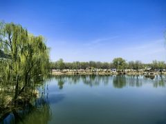 -稻香湖公园