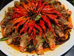 -红盔甲·小龙虾(长寿路店)