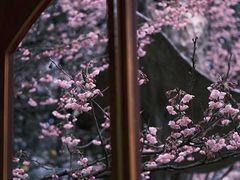 -南山植物园